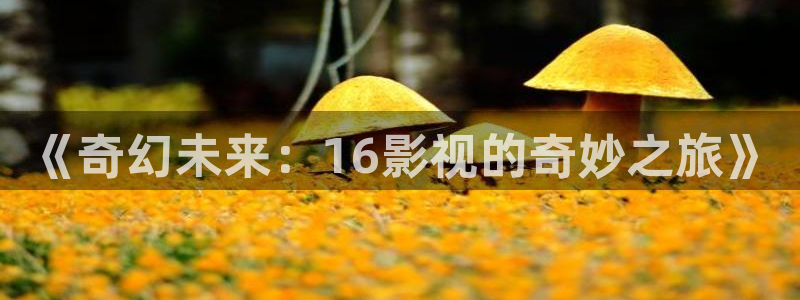 秋霞理论性电影